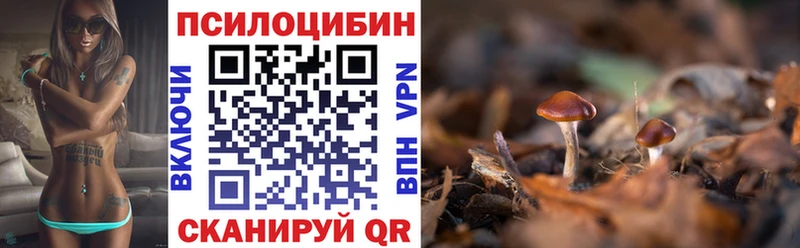 Галлюциногенные грибы мицелий  Карачев 